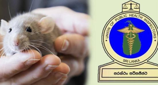 මී උණ ව්‍යාප්තවීමේ අවධානම ඉහළට